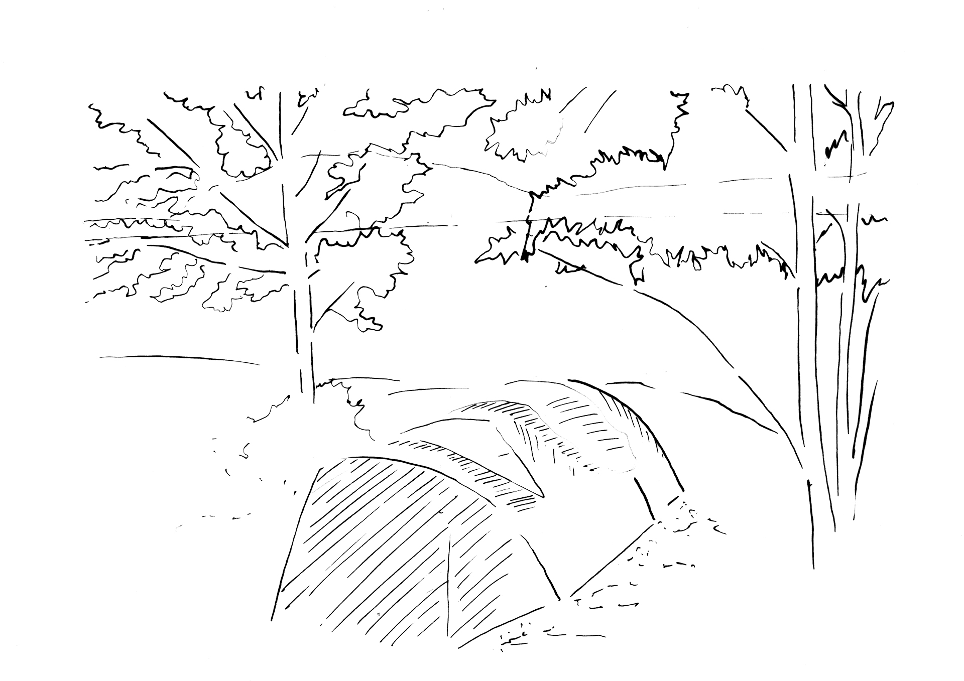 sketch of a tent between trees on an island-(c)an vanderhoydonck