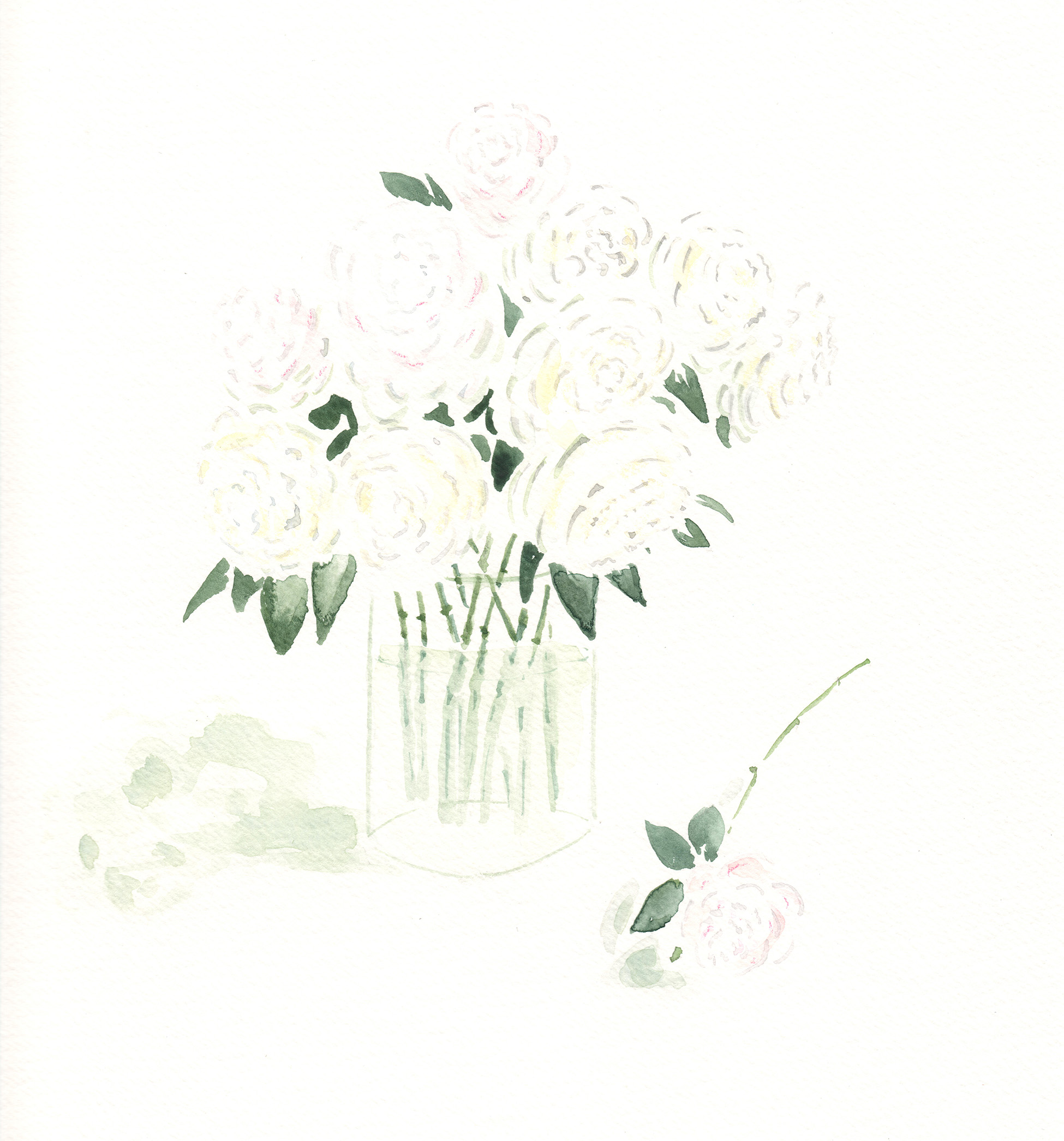 illustration-flowers white-(c)an vanderhoydonck